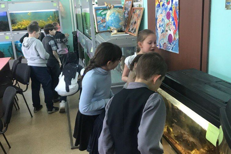 В детском технопарке «Кванториум» стартовала региональная неделя экологии